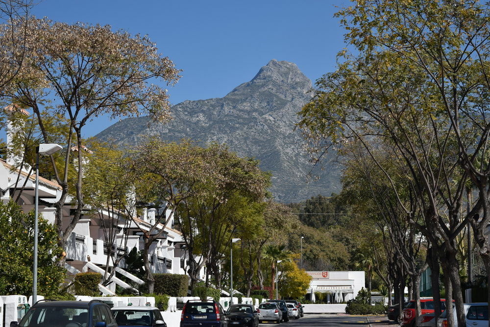 Apartamentos Y Casas Serinamar Marbella El Ángel 外观 照片