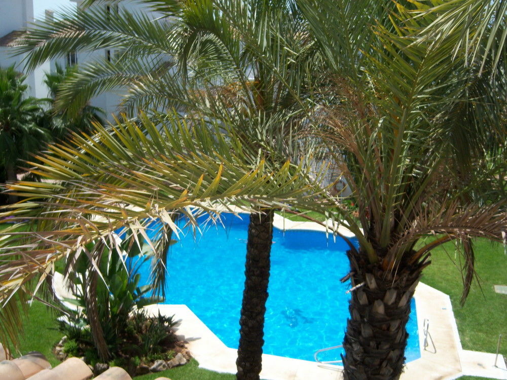 Apartamentos Y Casas Serinamar Marbella El Ángel 外观 照片